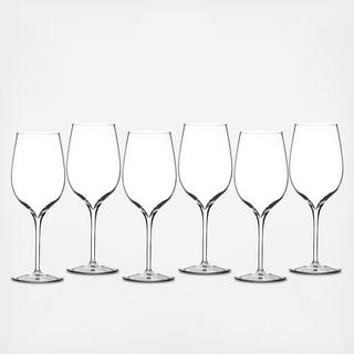 Elegance Wine Tasting Party Glass, Set of 6