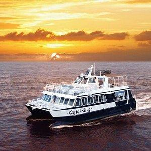 Honeymoon Dinner cruise in Maui