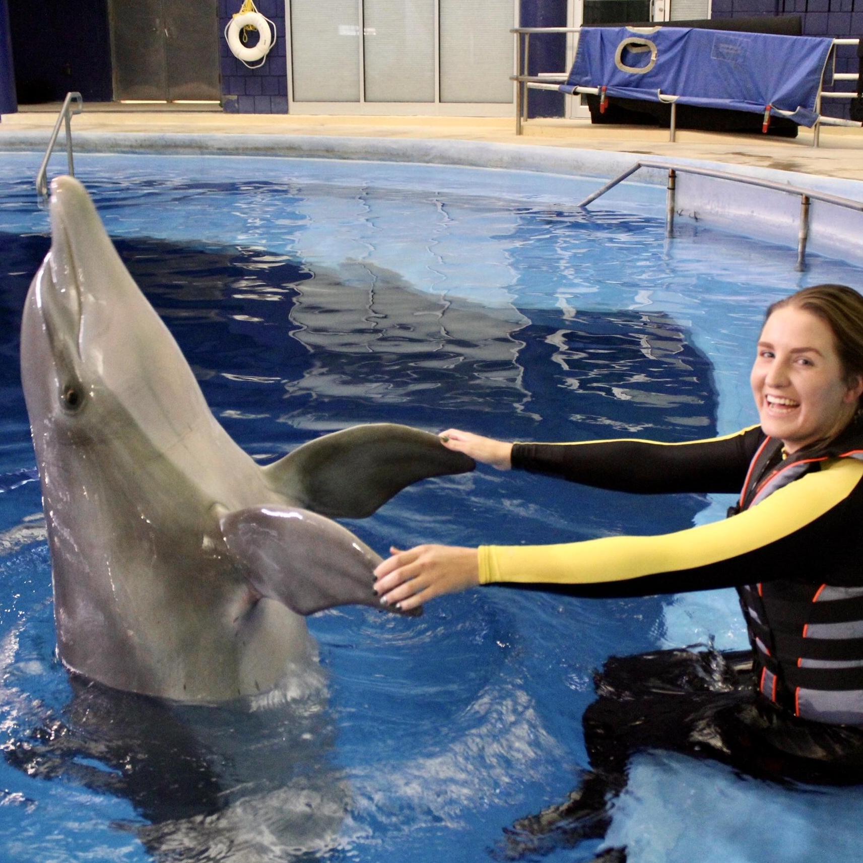 We got to help train dolphins at the Indianapolis Zoo - a surprise gift from Michael for our second anniversary!