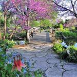 Olbrich Botanical Gardens