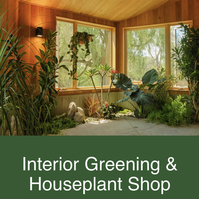 Arium Gift Card (houseplants)