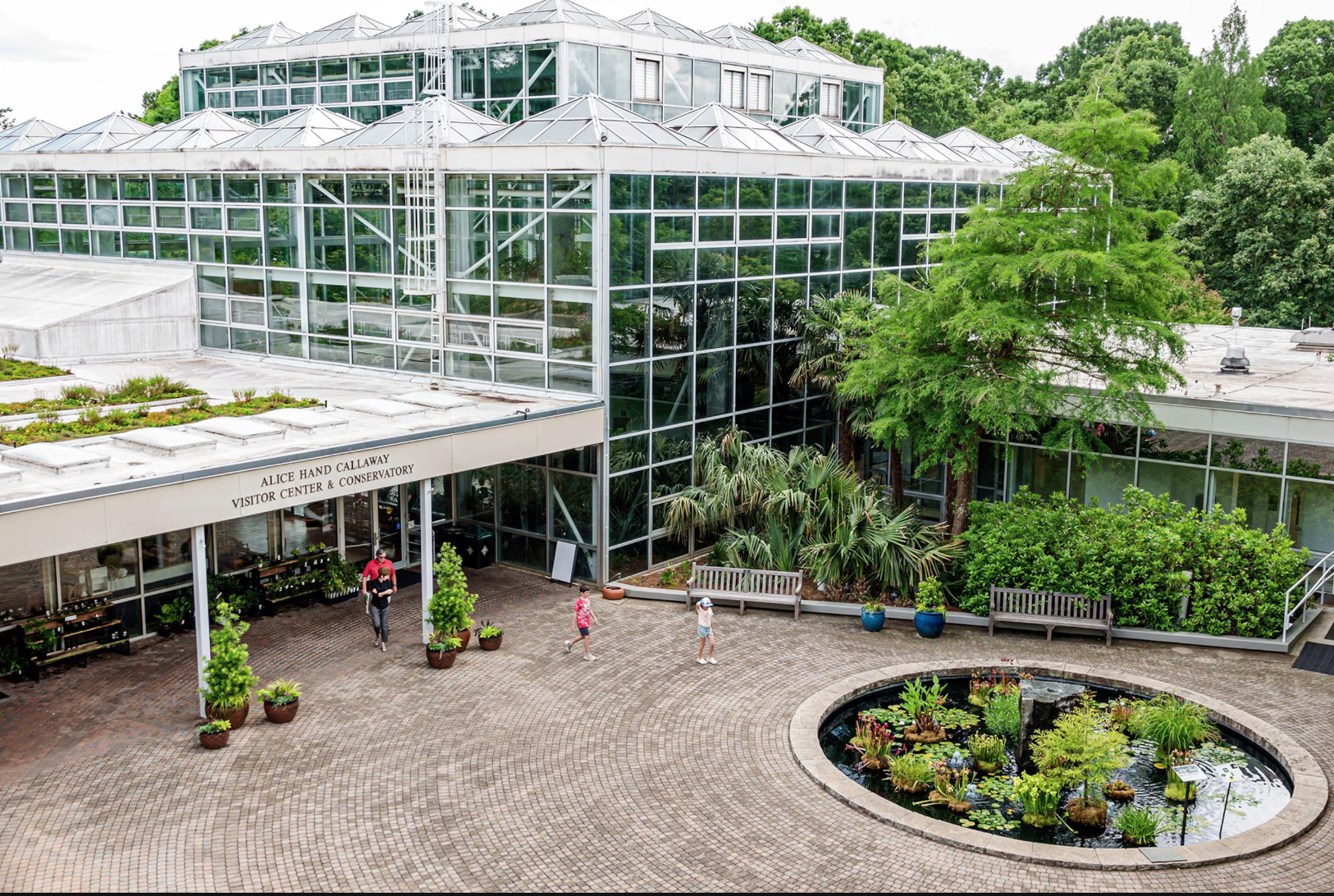 The Wedding Website of Courtney Eagle and Davis Pidgeon