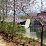 Crystal Bridges Museum of American Art