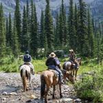 Horseback Tours - Swan Mountain Outfitters (Glacier Division)