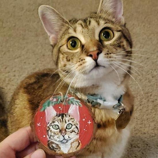 Our cat, Freya, and her Christmas ornament!