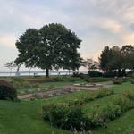 Lynch Park