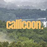 Callicoon Vintage