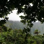 Hoʻomaluhia Botanical Garden