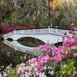 Magnolia Plantation and Gardens