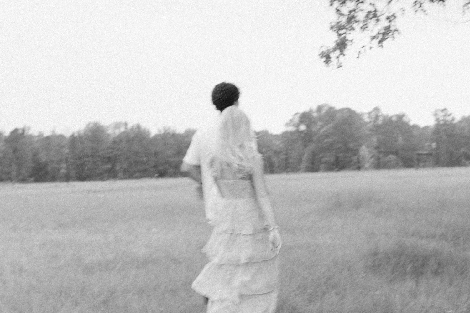 The Wedding Website of Bella Livingston and Haidyn Palmer