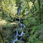 Cataract Falls