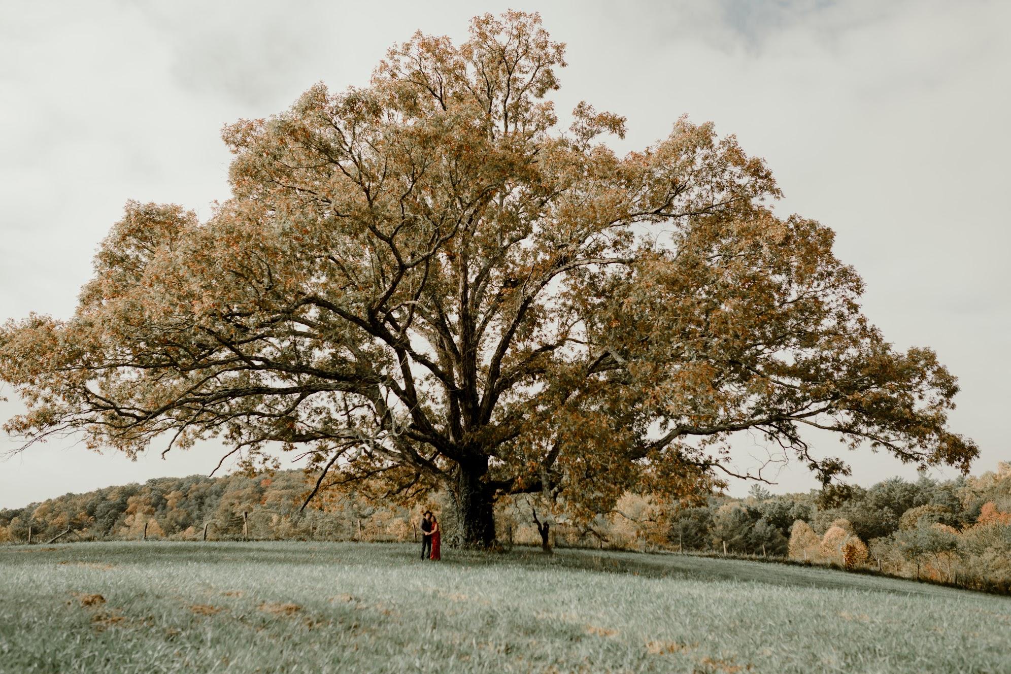 The Wedding Website of Mason Jane Zimmer and Eric Daniel Craw