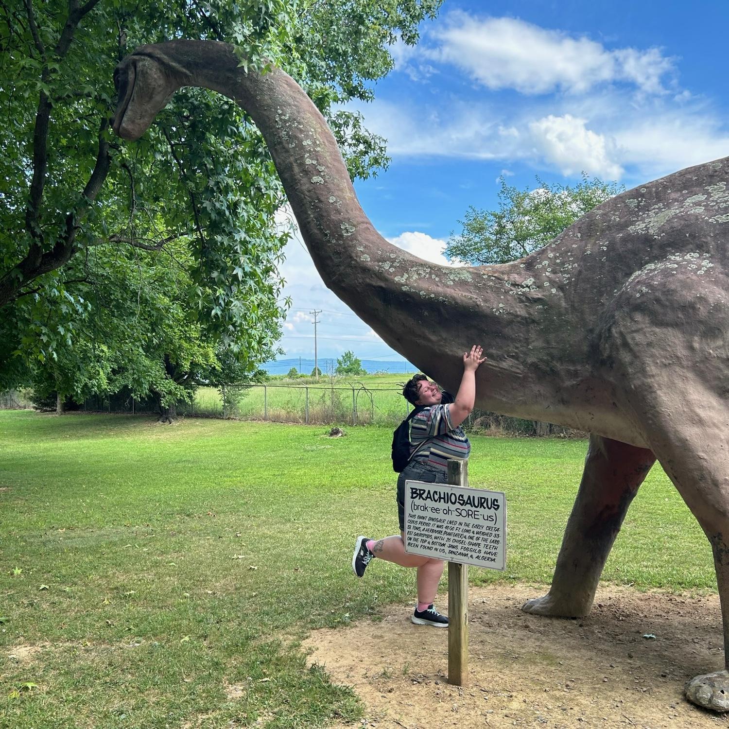I wasn’t kidding about Sawyer having a picture with every dinosaur