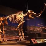 Tellus Science Museum