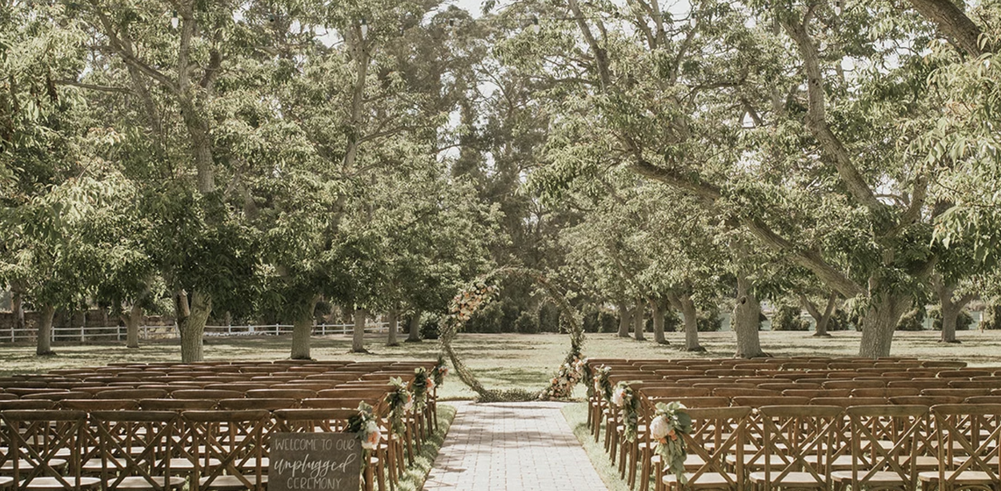 The Wedding Website of Krystal Newmark and Dan Bernstein
