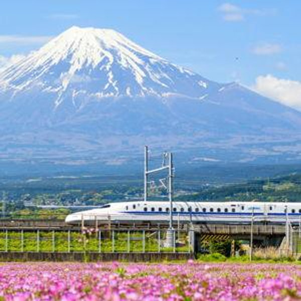 Round Trip Tickets to Kyoto on the Skinkansen