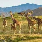 The Living Desert Zoo and Gardens