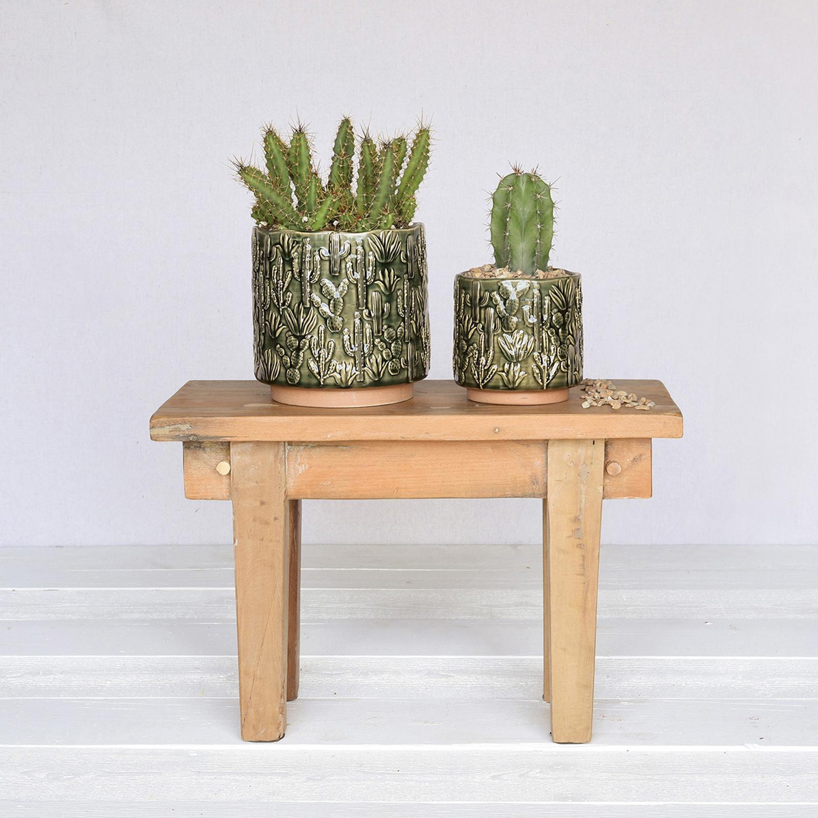 HomArt, Cactus Large Motif Cachepot, Set of 2 | Zola