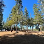 Ride and Tent Sharing