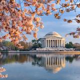 Tidal Basin