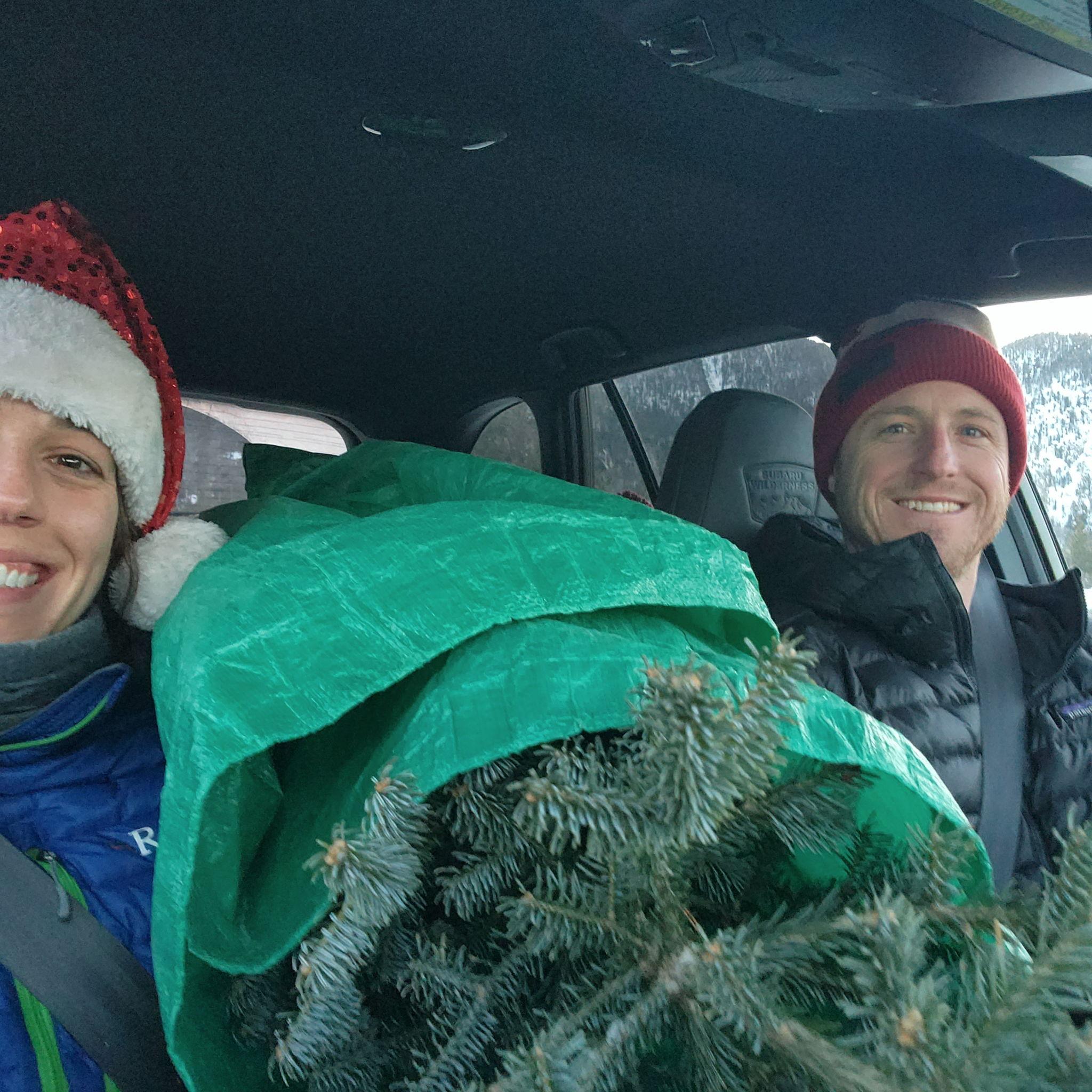 Cutting down our own Christmas Tress