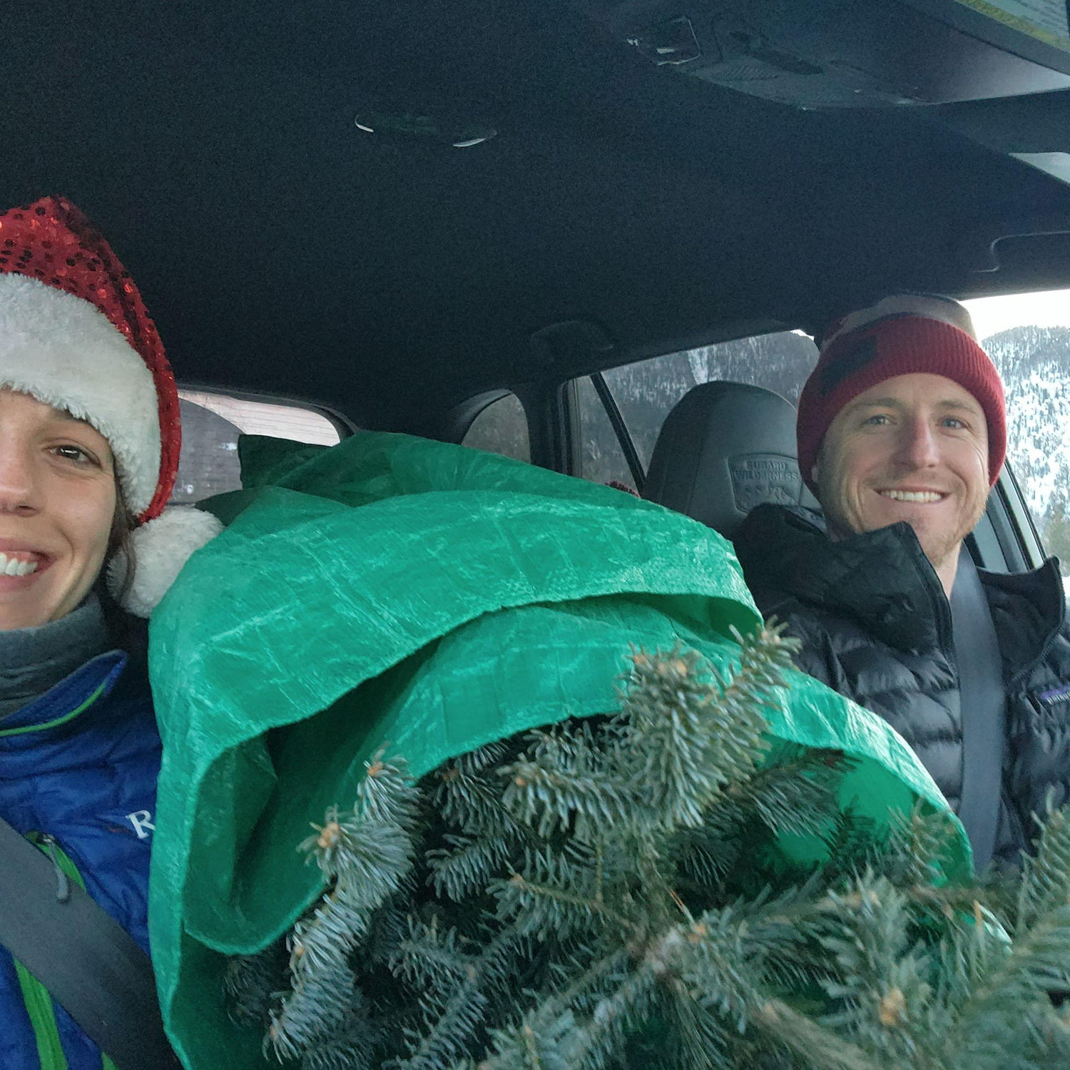 Cutting down our own Christmas Tree in the national forest.