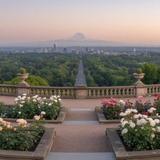 International Rose Test Garden