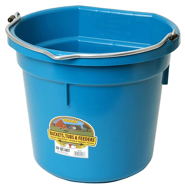 Little Giant Plastic Animal Feed Bucket (Teal) Flat Back Plastic Feed Bucket with Metal Handle (20 Quarts / 5 Gallons) (Item No. P20FBTEAL6)