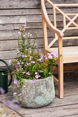 Barnacle Blue Planter