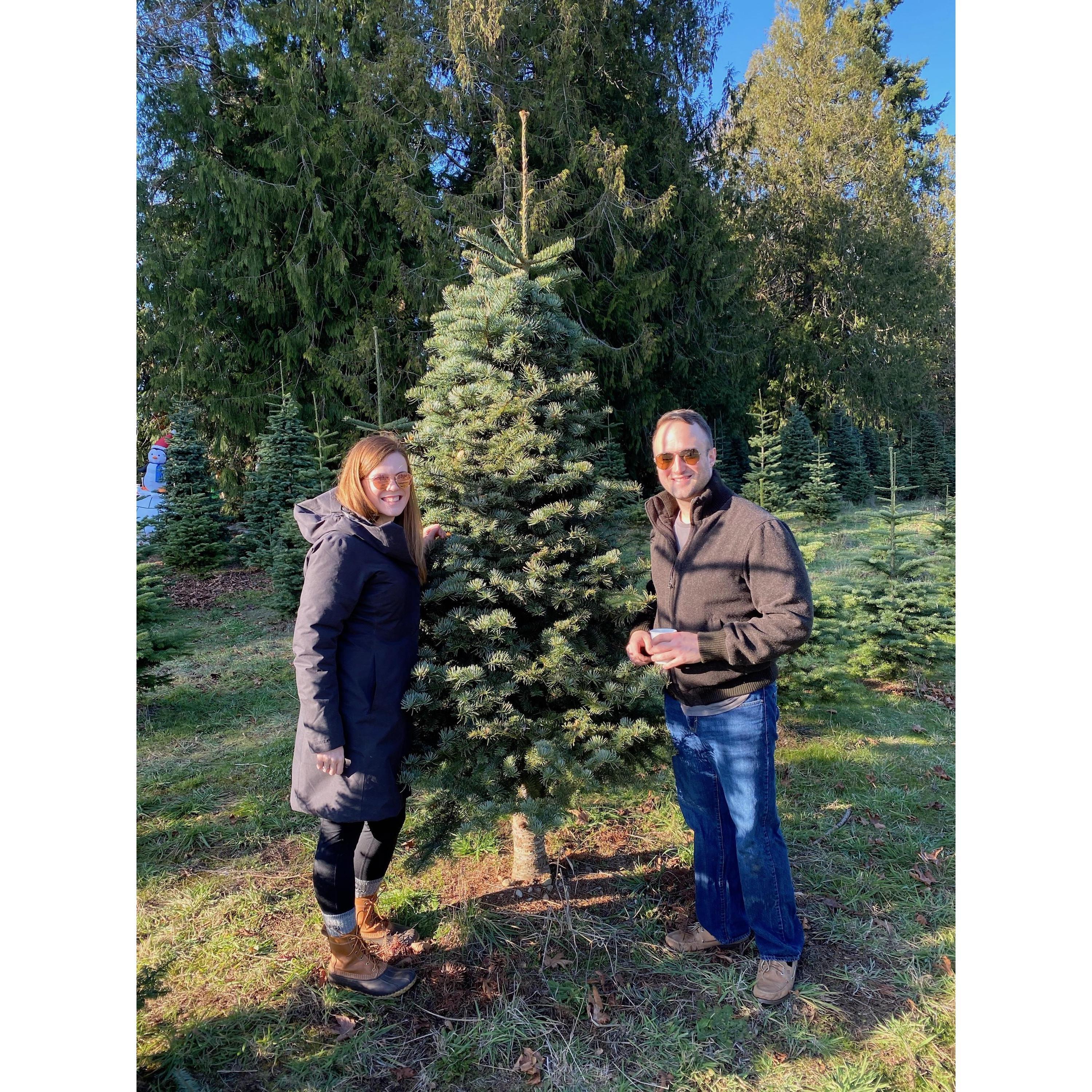 Picking out our first real Christmas tree in 2019