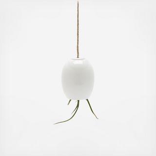 Hanging Air Plant Pod