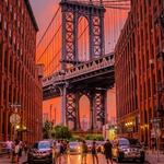Dumbo