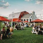 Catoctin Breeze Vineyard