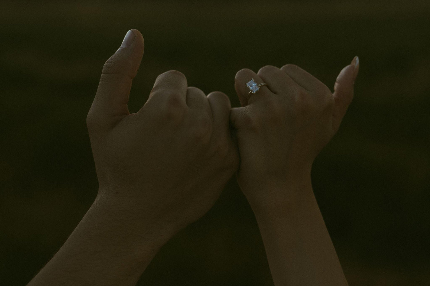 The Wedding Website of Michelle Pasillas and Moses Escobar
