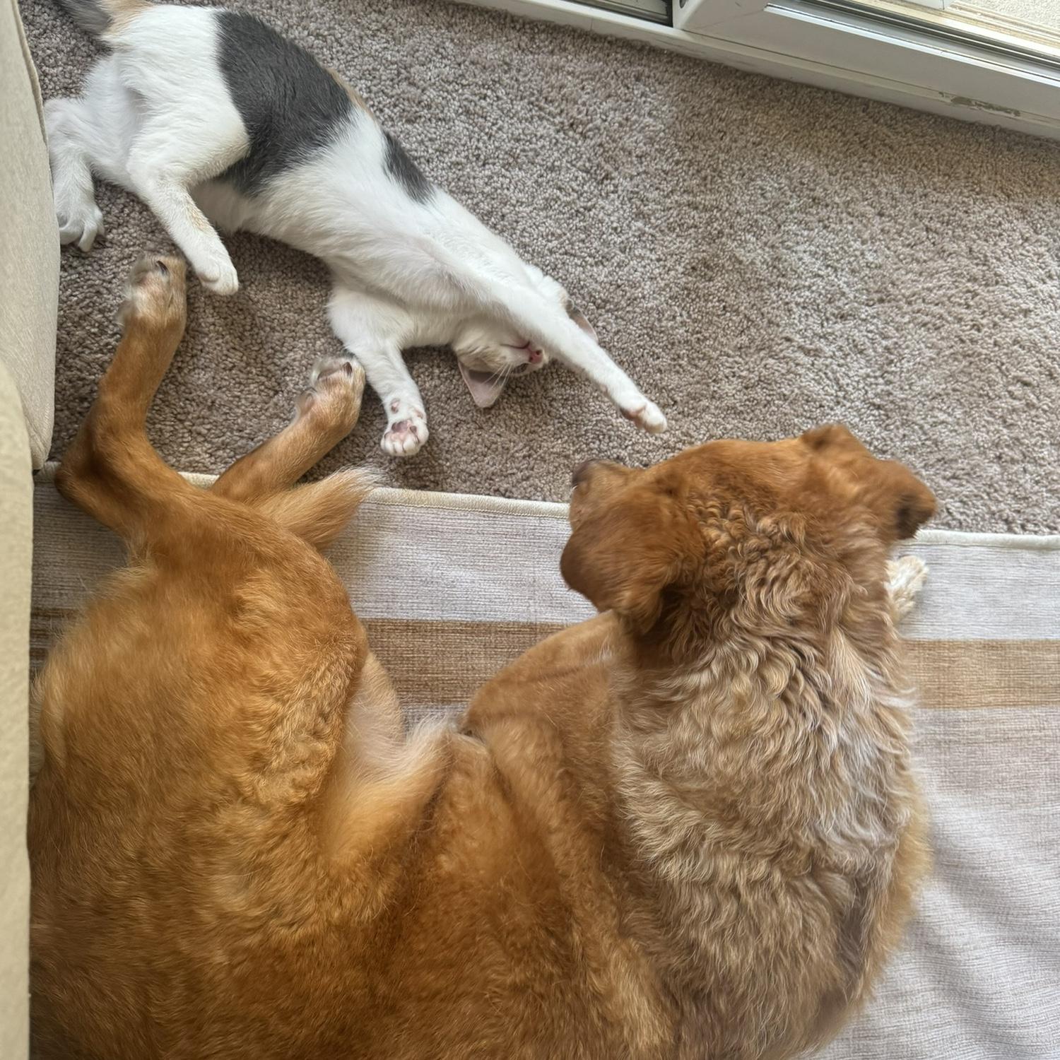 Love at first sight.