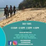 Horseback Riding On The Beach