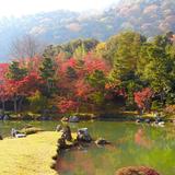 Tenryu-Ji Temple