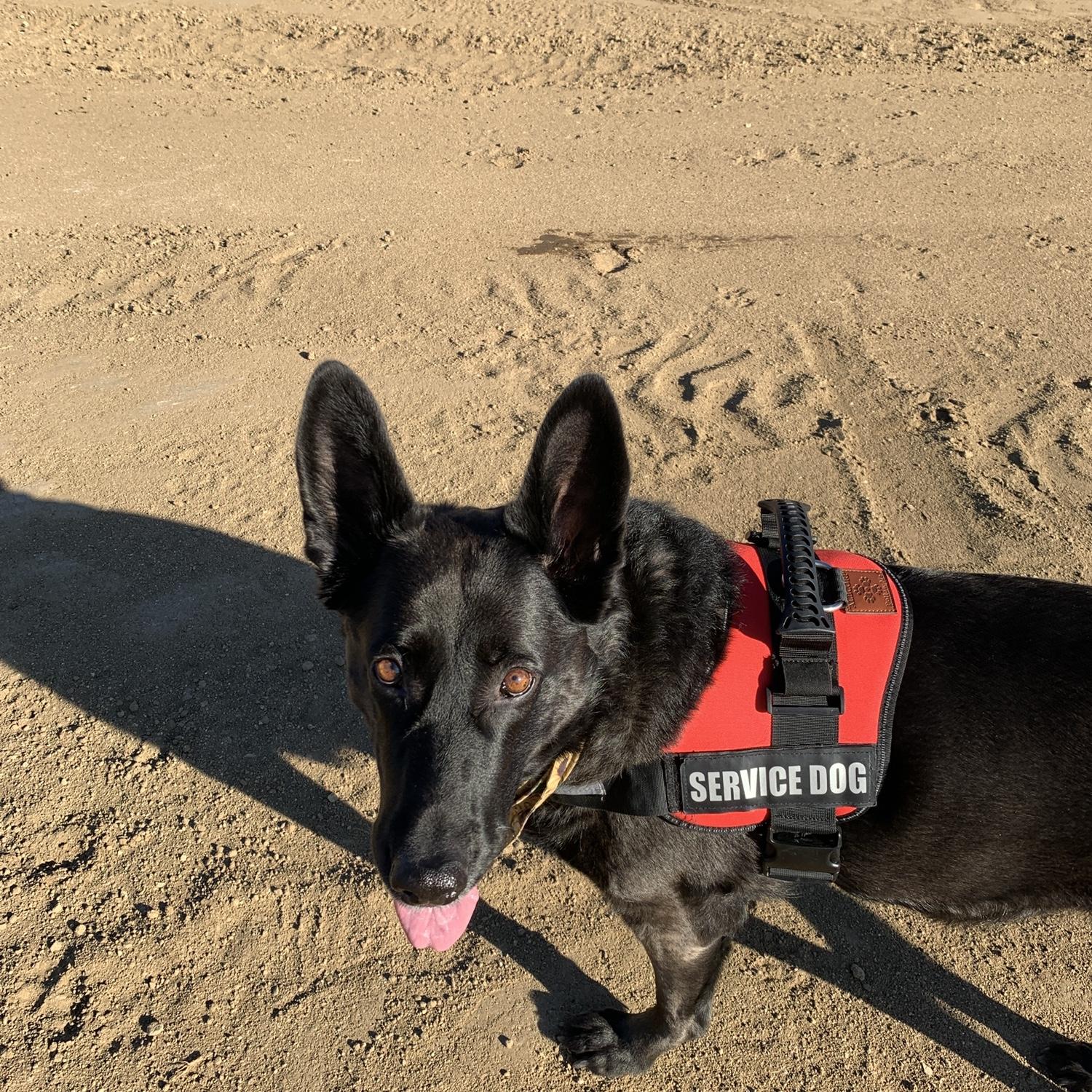 Our beautiful baby Zula is so missed, we wish she was going to be here for our special day