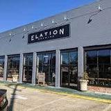 Elation Brewing