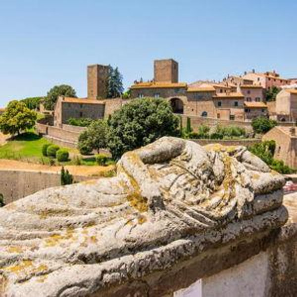 Tuscania: Olive Oil Tasting