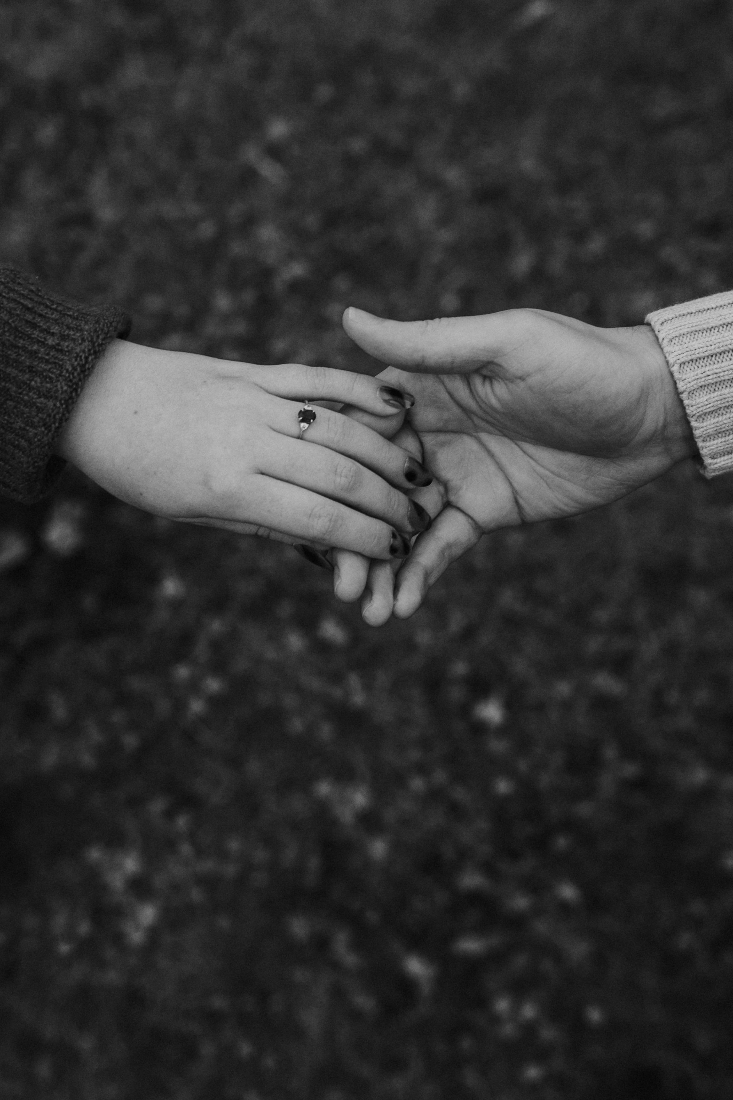 The Wedding Website of Hannah Hammersley and Stephen Lehman