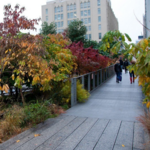 The High Line