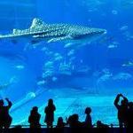 New England Aquarium