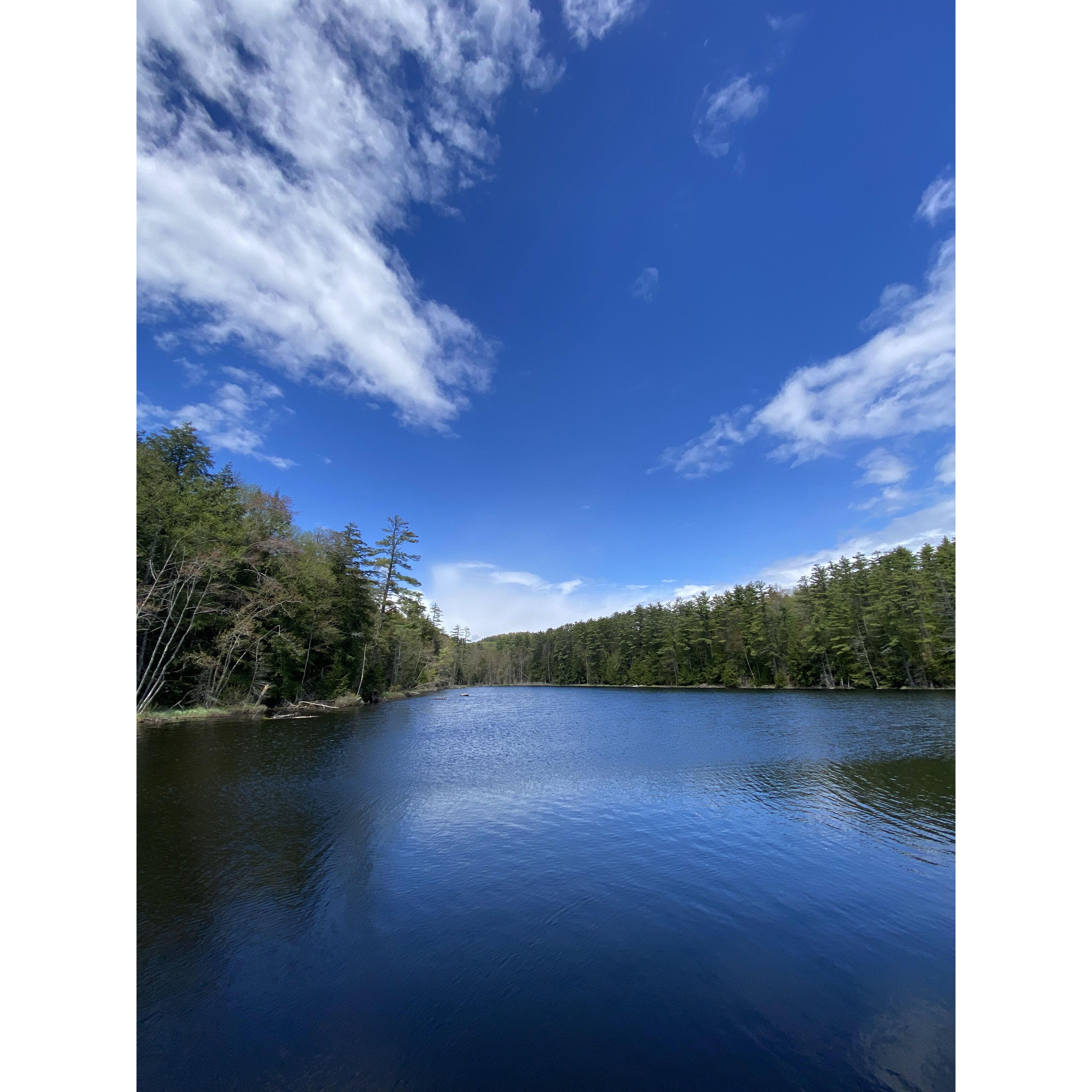Forest Lake