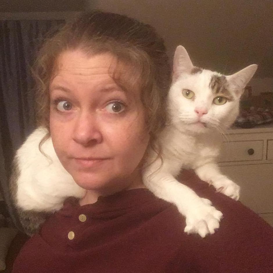 Shoulder cat!