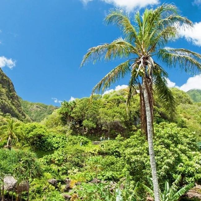 Iao Valley