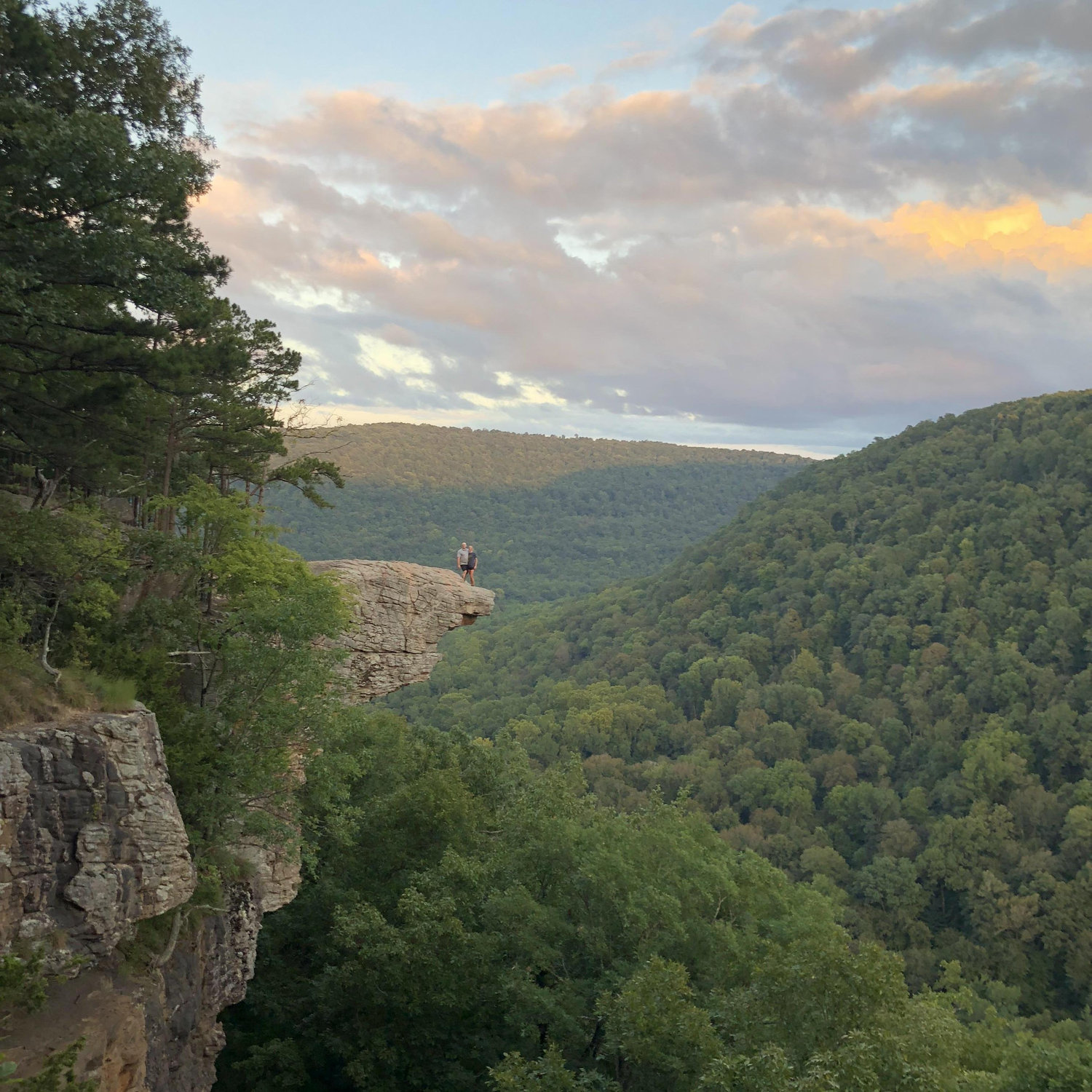 I could have proposed at Whitaker Point but that is so 2017