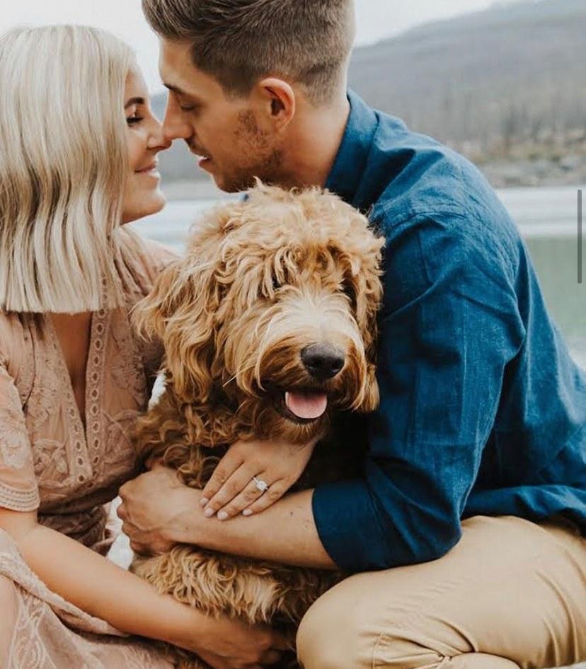 The Wedding Website of brooklyn alcock and jay mondor