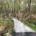 Cornelia & Florence Bridge Nature Preserve