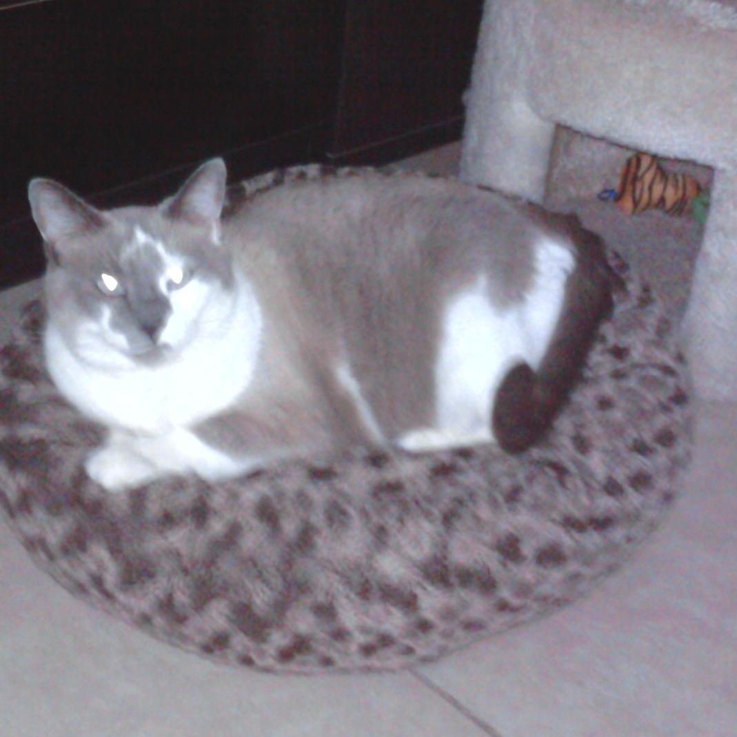 The Princess of the house!
